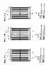 Fig. 14 - Liquid crystal lens element, display unit and terminal