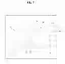 Fig. 08 - Eyeglasses