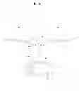 Fig. 17 - Eyeglasses