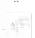 Fig. 18 - Eyeglasses