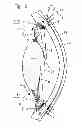 Fig. 03 - Sensor system for determining the control signals activating ciliary muscles