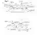 Fig. 09 - Spectral domain optical coherence tomography system