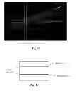 Fig. 17 - Spectral domain optical coherence tomography system