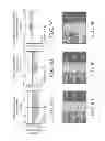 Fig. 14 - Systems and methods for detecting blink inhibition as a marker of engagement and perceived stimulus salience