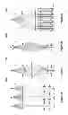 Fig. 29 - Pixel blending for multiple charged-particle beam lithography