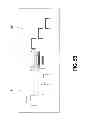 Fig. 07 - AUTOMATIC PRINTING ADJUSTMENT METHOD FOR PAGE-WIDTH ARRAY PRINTING DEVICE