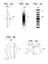 Fig. 06 - Exposing device and image forming apparatus