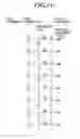Fig. 12 - Image processing device and image processing method for preventing image quality deterioration