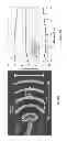 Fig. 14 - Optical phased arrays with evanescently-coupled antennas