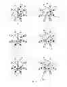 Fig. 10 - Method and Apparatus for Shaping Dynamic Light Beams to Produce 3D Perception in a Transmitted Light Microscope