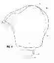 Fig. 04 - BELT WITH LIGHT