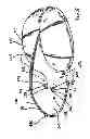 Fig. 04 - Lighted hat