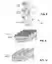 Fig. 09 - Three-dimensional array of re-programmable non-volatile memory elements having vertical bit lines and a single-sided word line architecture