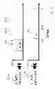 Fig. 12 - Method and system for ultrasonic signaling, ranging and location tracking