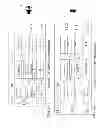 Fig. 15 - Method and system for ultrasonic signaling, ranging and location tracking