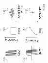 Fig. 22 - Method and system for ultrasonic signaling, ranging and location tracking