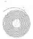 Fig. 08 - Timepiece movement with a balance and hairspring