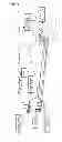Fig. 02 - Multi-homed terminals