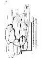 Fig. 06 - Multi-homed terminals