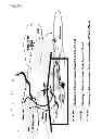 Fig. 07 - Multi-homed terminals