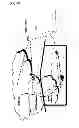 Fig. 08 - Multi-homed terminals