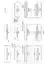 Fig. 07 - Dynamic selection of positioning system and display map