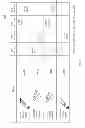 Fig. 18 - Frequency re-use for service and gateway beams