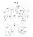 Fig. 03 - IP ENCAPSULATION AND ROUTING OVER WIRELESS RADIO NETWORKS