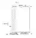 Fig. 02 - Method for transmitting and receiving control information of a mobile communication system
