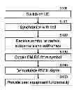 Fig. 01 - DM RD based LTE downlink physical layer