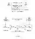 Fig. 03 - Universal asymmetry compensation for packet timing protocols
