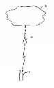 Fig. 01 - Method and apparatus for triggering a ranked transmission
