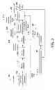 Fig. 04 - Data Remapping for Predictive Video Coding