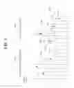 Fig. 05 - Apparatus for coding or decoding intra image based on line information of reference image block