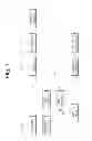 Fig. 02 - Apparatus for coding or decoding intra image based on line information of reference image block