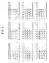 Fig. 04 - Apparatus for coding or decoding intra image based on line information of reference image block
