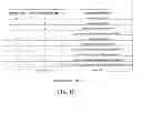 Fig. 13 - Signaling layer dependency information in a parameter set