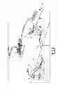 Fig. 02 - Submerged electricity production module