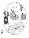 Fig. 13 - X-ray CT apparatus and optimal cardiac phase determining method