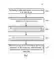 Fig. 02 - Recording method, recording device, and electronic device