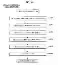 Fig. 19 - Information processing apparatus, signature generation apparatus, information processing method, signature generation method, and program