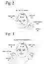 Fig. 03 - System for fitting audio signals for in-use ear