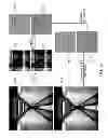 Fig. 30 - Compressive sensing with local geometric features