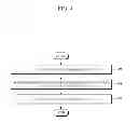 Fig. 08 - Lesion diagnosis apparatus and method