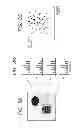 Fig. 09 - RECONSTRUCTION METHOD OF BIOLOGICAL TISSUE IMAGE, APPARATUS THEREFOR, AND  IMAGE DISPLAY APPARATUS USING THE BIOLOGICAL TISSUE IMAGE