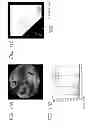 Fig. 12 - RECONSTRUCTION METHOD OF BIOLOGICAL TISSUE IMAGE, APPARATUS THEREFOR, AND  IMAGE DISPLAY APPARATUS USING THE BIOLOGICAL TISSUE IMAGE