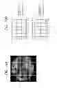 Fig. 15 - RECONSTRUCTION METHOD OF BIOLOGICAL TISSUE IMAGE, APPARATUS THEREFOR, AND  IMAGE DISPLAY APPARATUS USING THE BIOLOGICAL TISSUE IMAGE