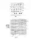 Fig. 02 - Detecting defects on a wafer using template image matching
