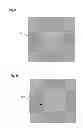 Fig. 10 - Using infrared imaging to create digital images for use in product customization
