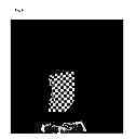 Fig. 14 - Using infrared imaging to create digital images for use in product customization